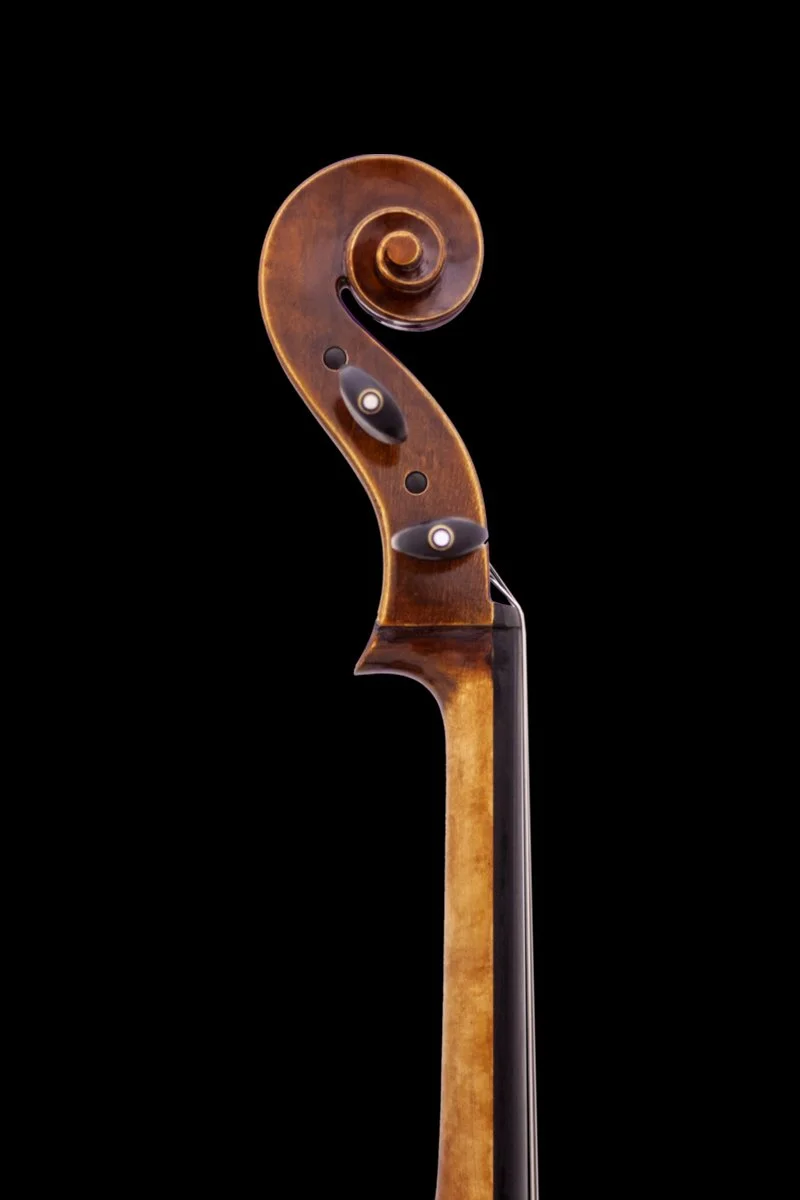 Chaconne Cello - Maple Leaf Strings — Vermont Violins